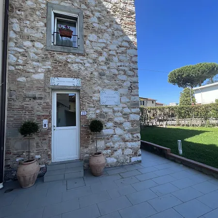 New! -verderame & In Lucca