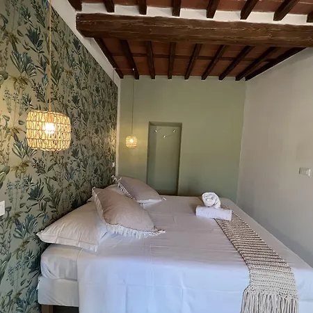 New! -verderame & In Lucca